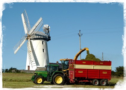 Ballycopeland Harvest