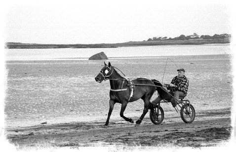 Pony-Trotting at Millisle