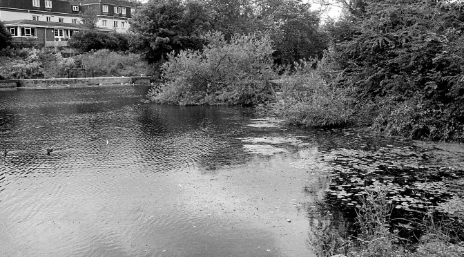 Photo-Essay – A Walk in the Park.