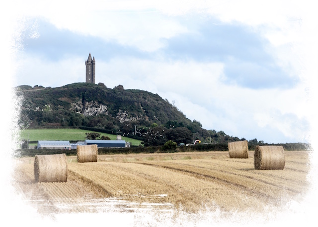 scrabo_01