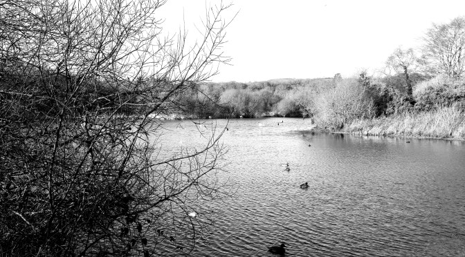 New Year – New Gear #2