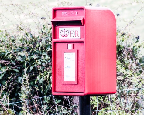 Lockdown Logs 2020-04-2316.jpg