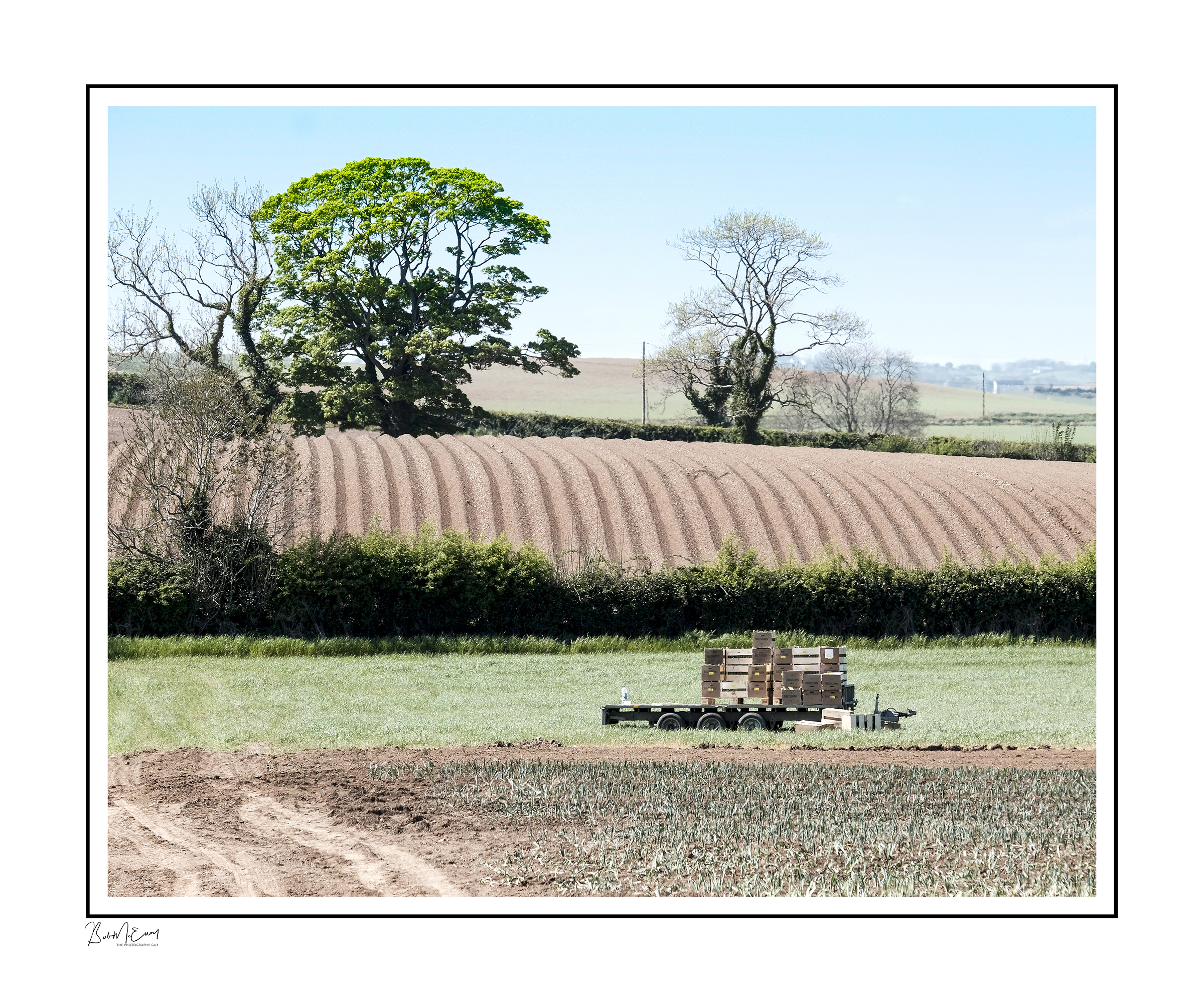 Comber Fields Up.jpg