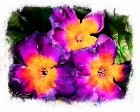 Flowers Watercolour CanvasUP