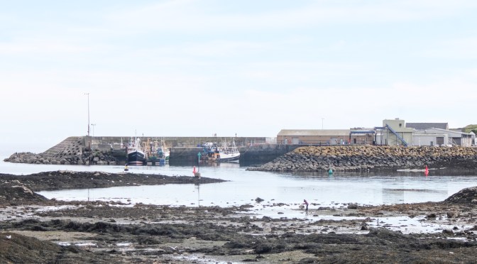 The Lecale District #2